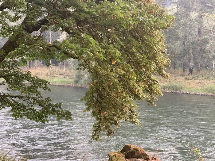 Cowlitz Timber Trails Association Picture 4