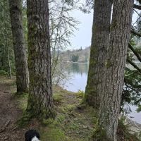 Ike Kinswa State Park Campground ico