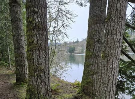 Ike Kinswa State Park Campground