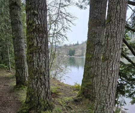 Ike Kinswa State Park Campground