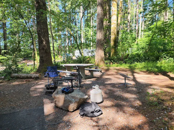 Ike Kinswa State Park Campground Picture 3