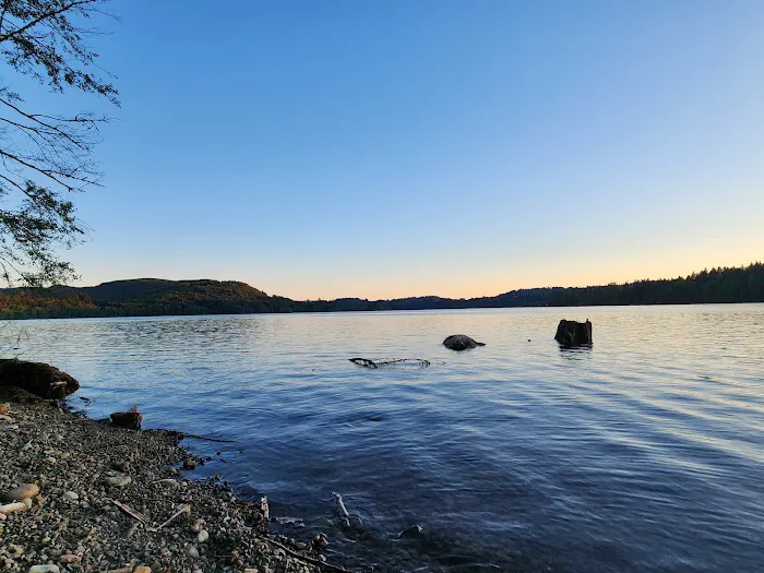 Ike Kinswa State Park Campground Picture 7