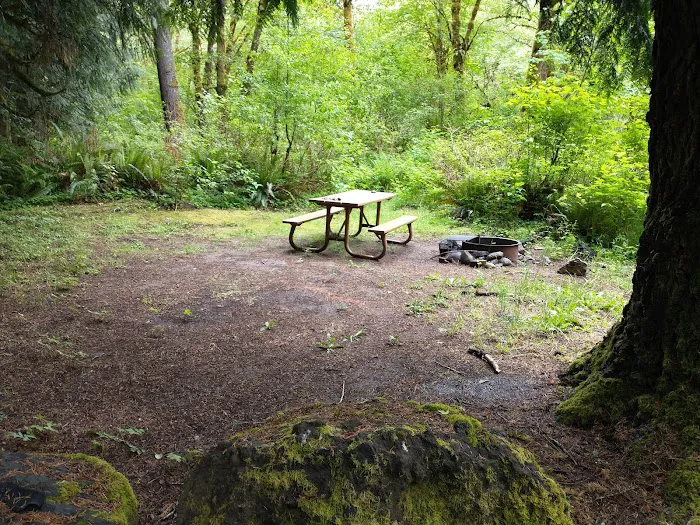 Winston Creek Campground Picture 3