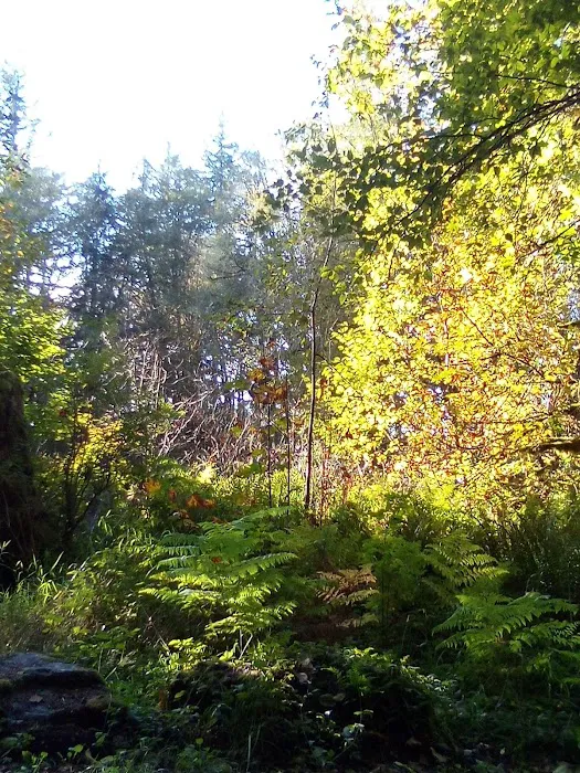 Winston Creek Campground Picture 4