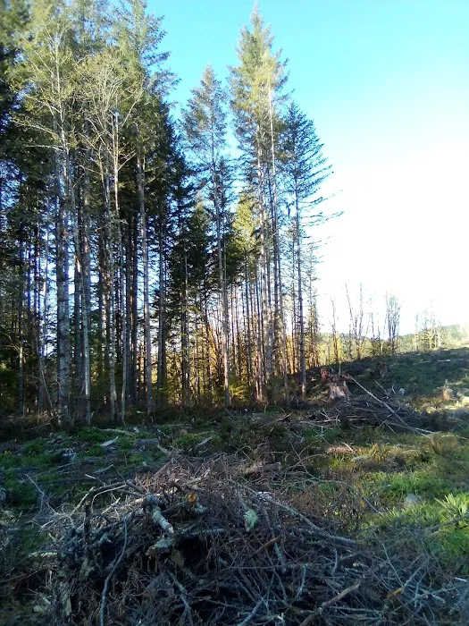 Winston Creek Campground Picture 7