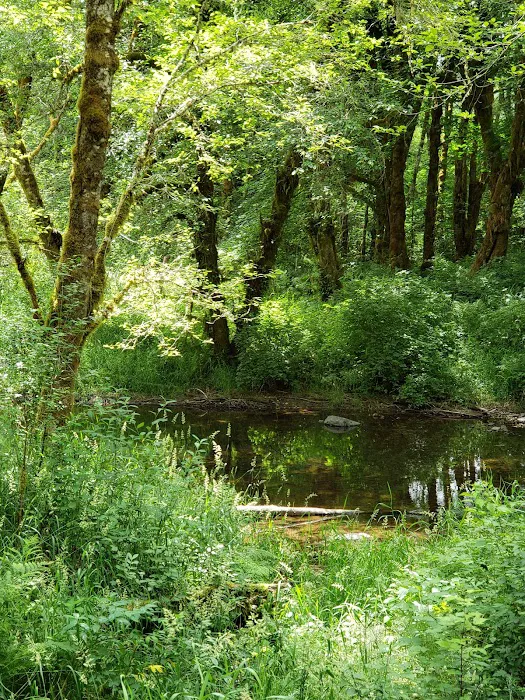 Winston Creek Campground Picture 8