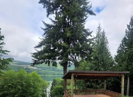 Riffe Lake Campground