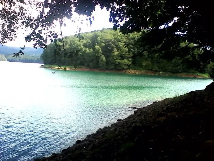 Riffe Lake Campground Picture 3