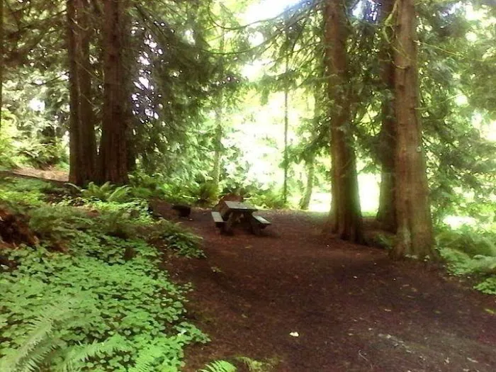 Riffe Lake Campground Picture 2