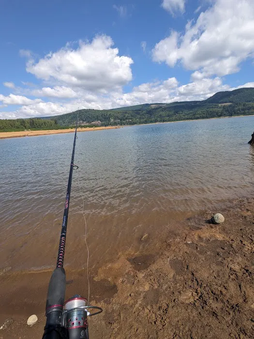Riffe Lake Campground Picture 9