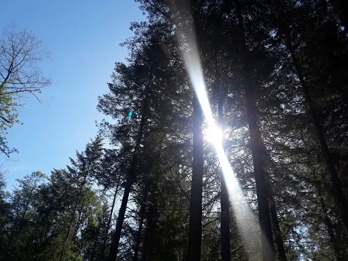 Kid Valley Campground Picture 4