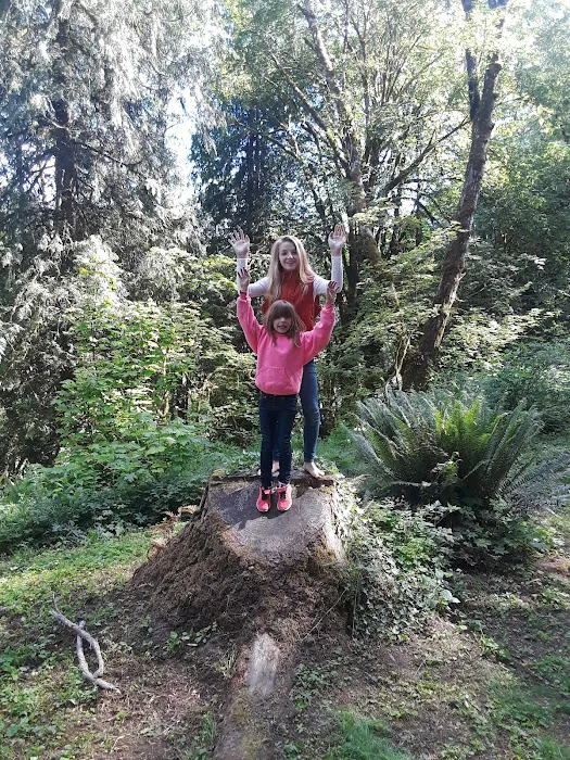 Kid Valley Campground Picture 6