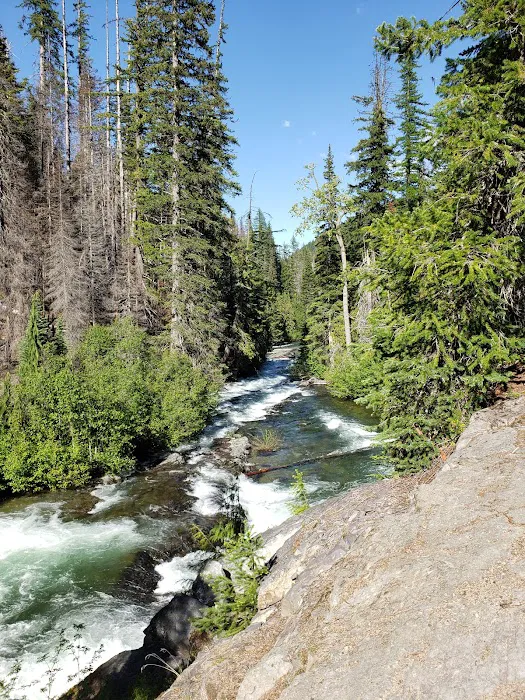 Lodgepole Campground Picture 2