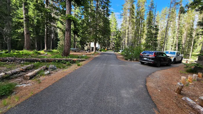 Lodgepole Campground Picture 3