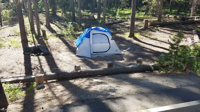 Lodgepole Campground Picture 7