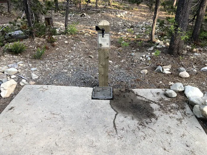 Lodgepole Campground Picture 8