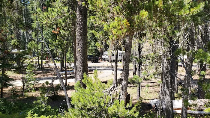 Lodgepole Campground Picture 10