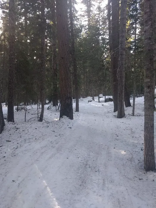 Pleasant Valley Campground Picture 5