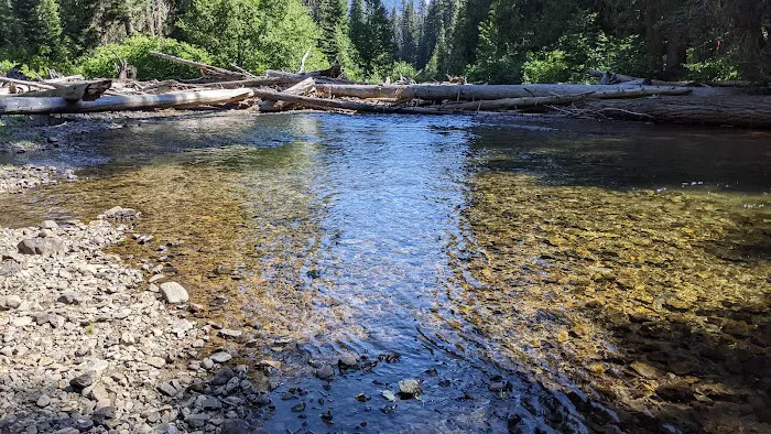 Salmon Cove Group Site Picture 1