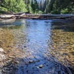 Salmon Cove Group Site