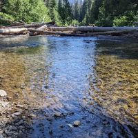 Salmon Cove Group Site ico