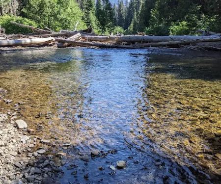 Salmon Cove Group Site
