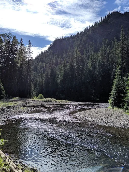 Salmon Cove Group Site Picture 3
