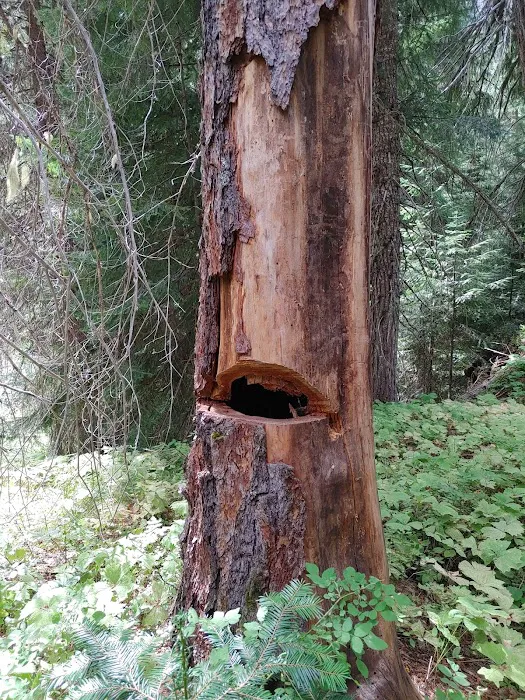 Salmon Cove Group Site Picture 2