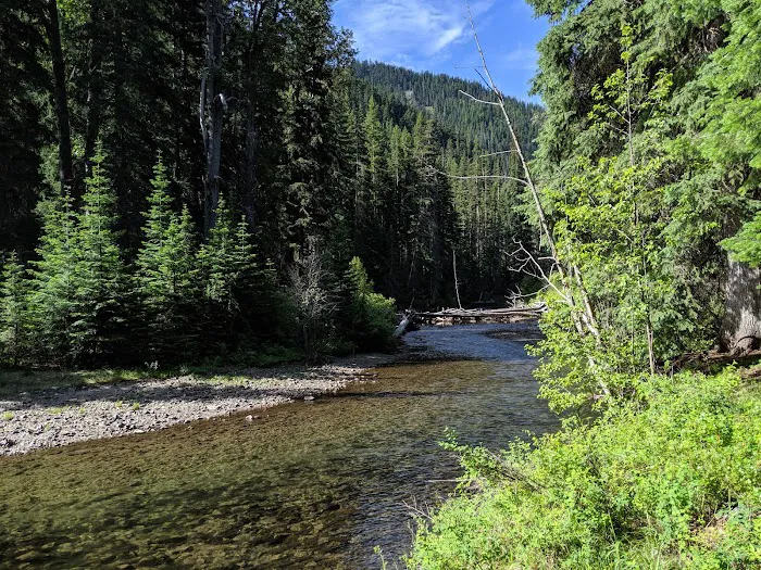 Salmon Cove Group Site Picture 9