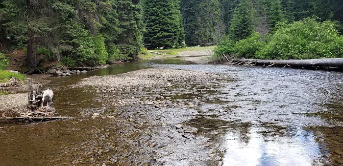 Salmon Cove Group Site Picture 10