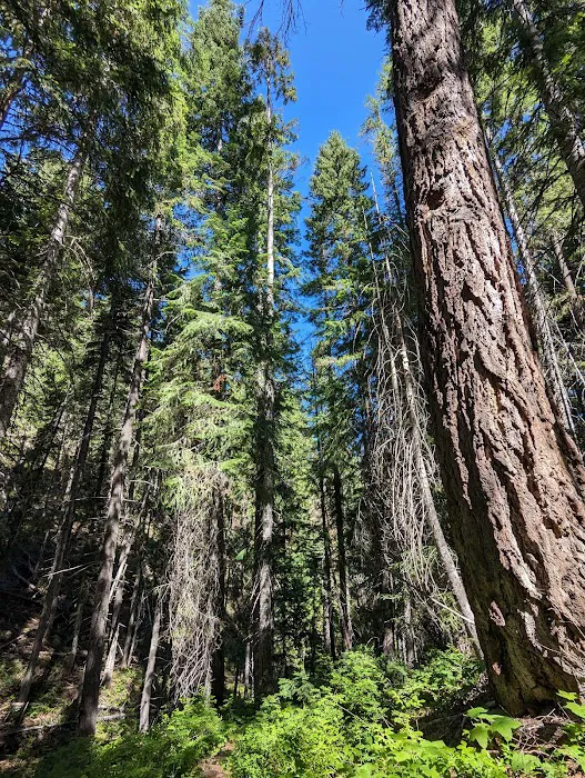 Hells Crossing Campground Picture 7