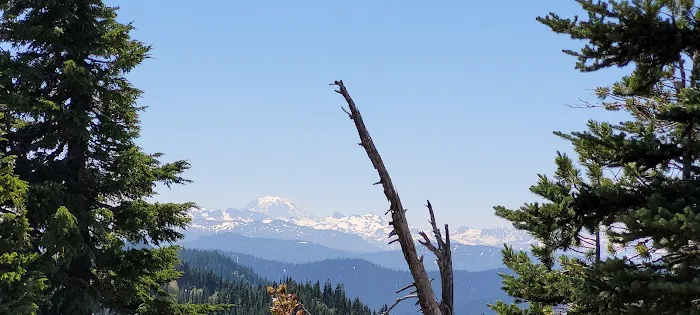 Granite Lake Dispersed Camping Area Picture 4