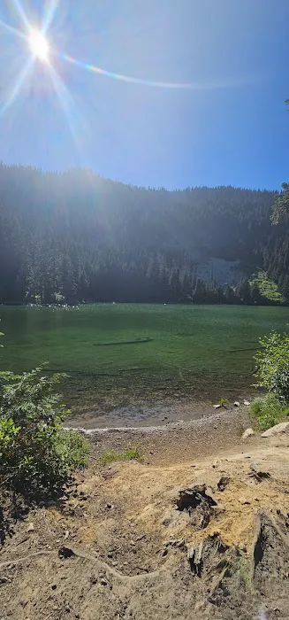 Granite Lake Dispersed Camping Area Picture 6