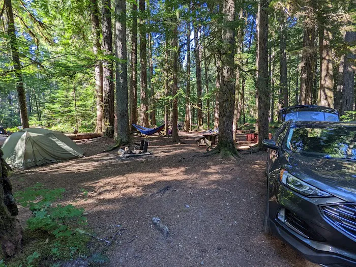 Ohanapecosh Campground Picture 2