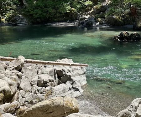 Ohanapecosh Campground