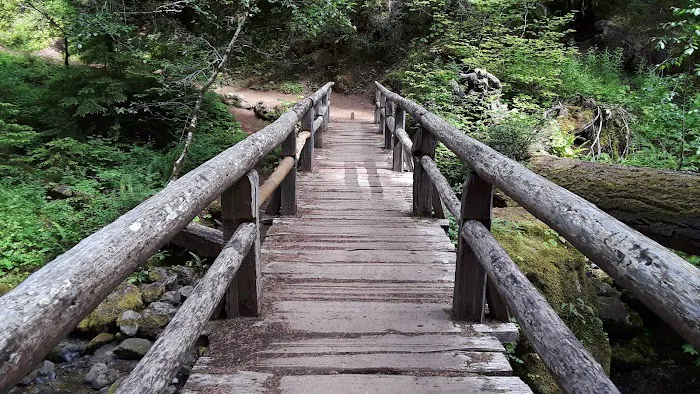 Ohanapecosh Campground Picture 3