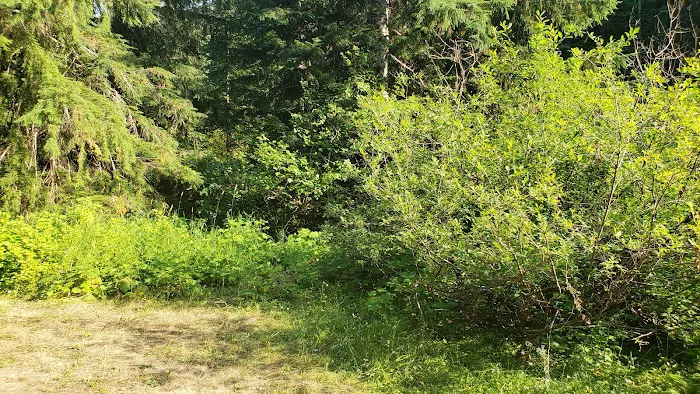 Soda Spring Campground Picture 6