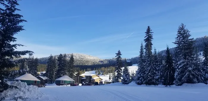 White Pass Lake Campground Picture 3