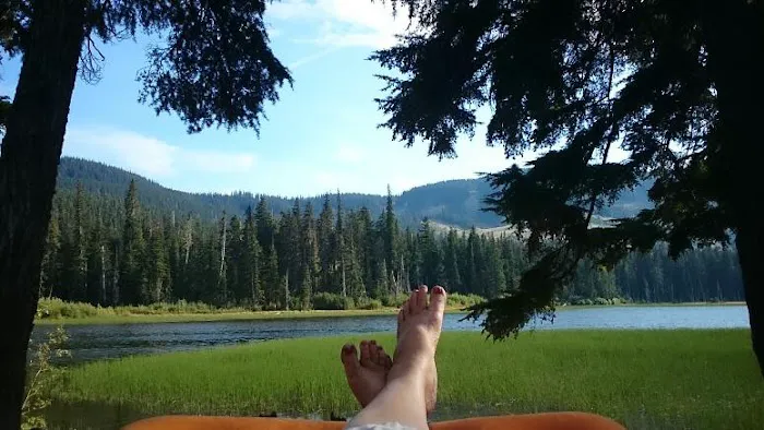 White Pass Lake Campground Picture 4