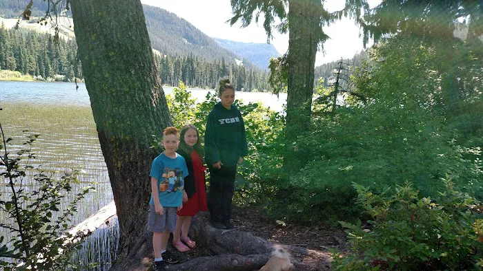 White Pass Lake Campground Picture 6