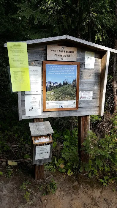 White Pass Lake Campground Picture 10