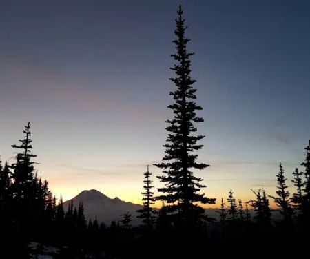 White Pass Horse Camp