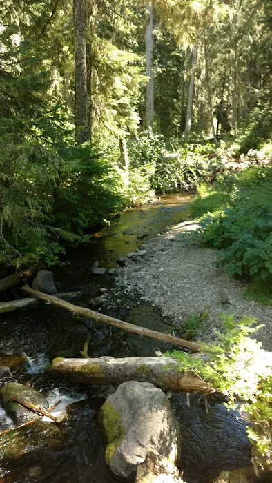 White Pass Horse Camp Picture 2