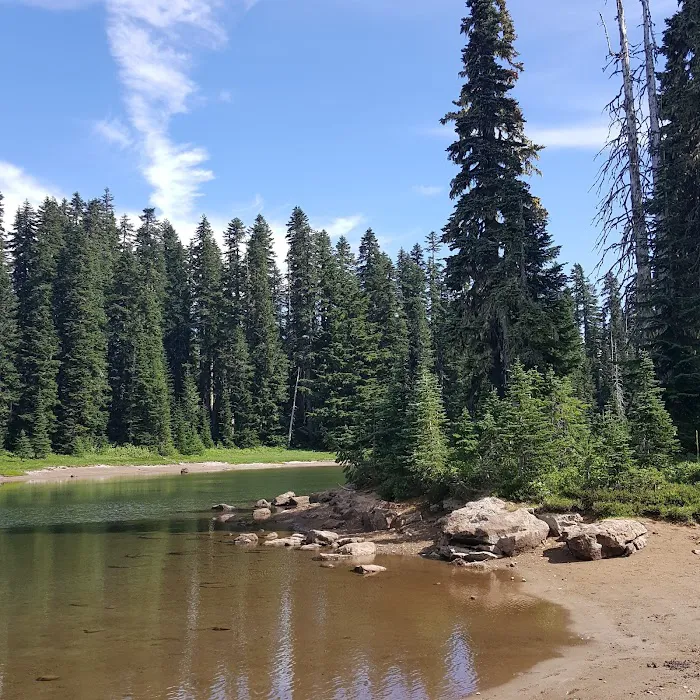 White Pass Horse Camp Picture 4