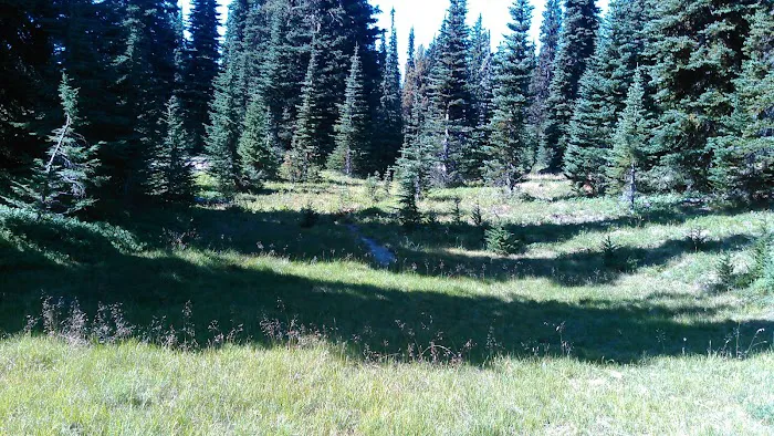 White Pass Horse Camp Picture 7