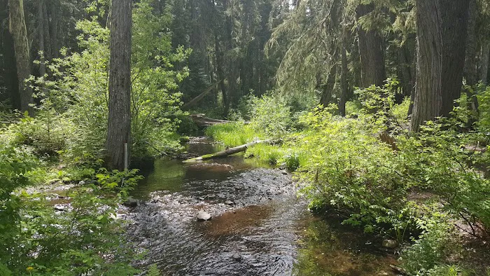 White Pass Horse Camp Picture 6