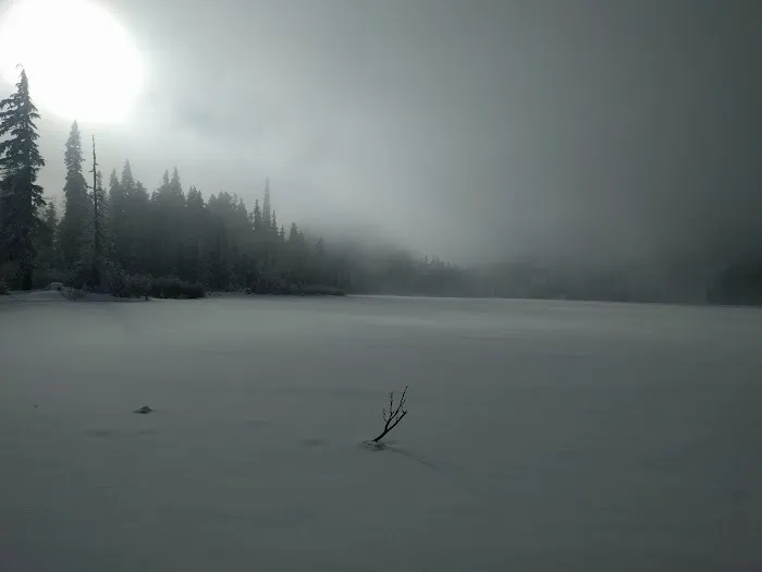White Pass Horse Camp Picture 9