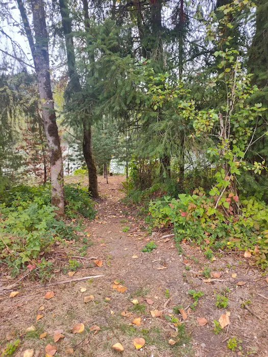 Rock Bottom Campsites Picture 4