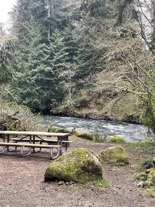 Lyre River Campground Picture 2