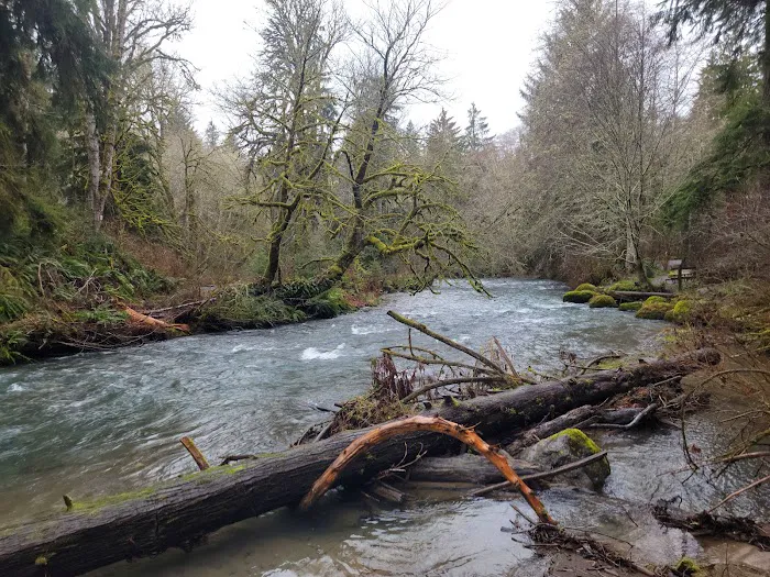 Lyre River Campground Picture 3